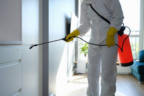 Best Commercial Mold Removal  in Middleton, WI