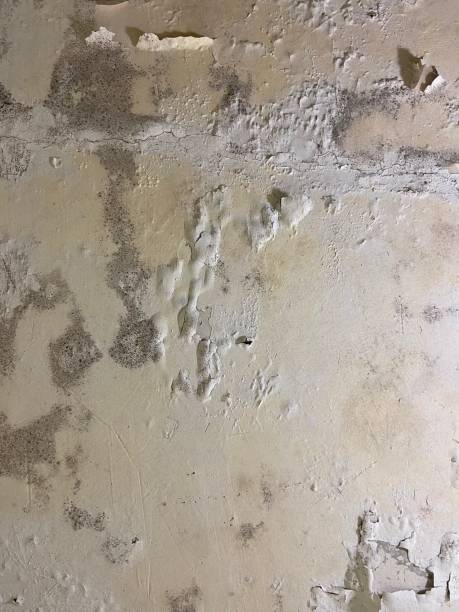 Best Mold Testing  in Middleton, WI
